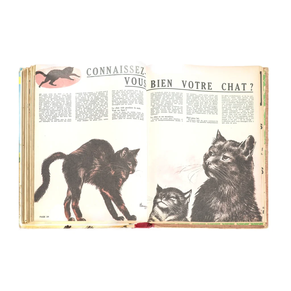 Page de garde intérieure verte avec motifs d'écureuils