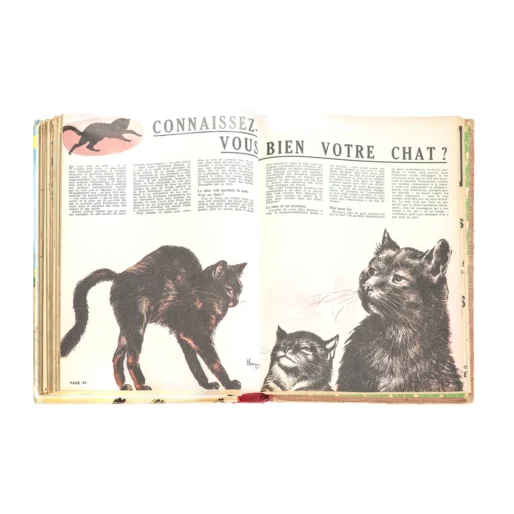 Page de garde intérieure verte avec motifs d'écureuils