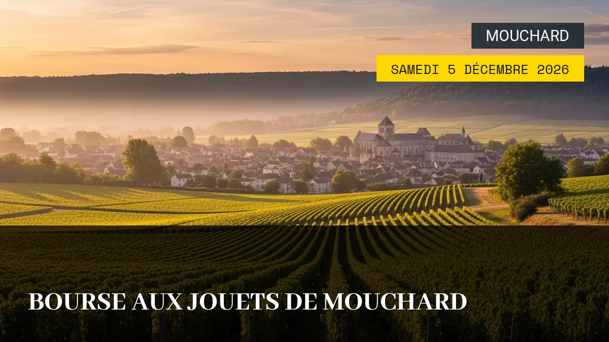 Affiche de l'événement : Bourse aux Jouets de Mouchard – Samedi 5 Décembre 2026