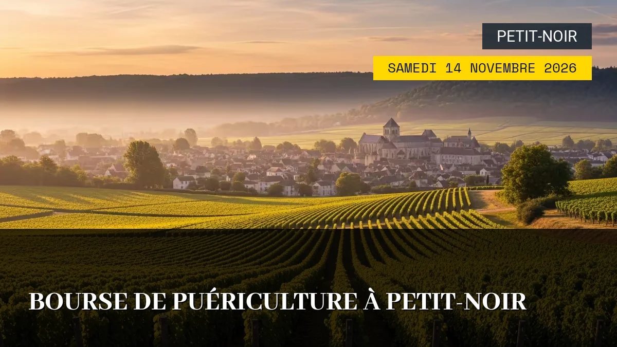 Affiche de l'événement : Bourse de Puériculture à Petit-Noir – Samedi 14 Novembre 2026