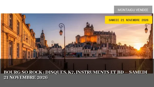 Bourg So Rock : disques, K7, instruments et BD – Samedi 21 Novembre 2026