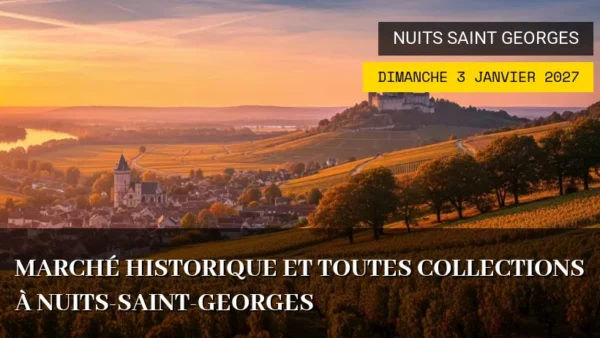 Marché Historique et Toutes Collections à Nuits-Saint-Georges