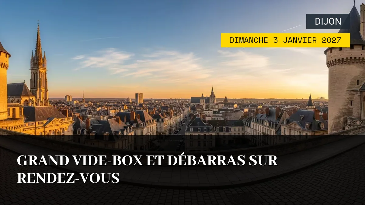 Affiche de l'événement : Grand Vide-Box et Débarras sur Rendez-Vous – Dimanche 3 Janvier 2027