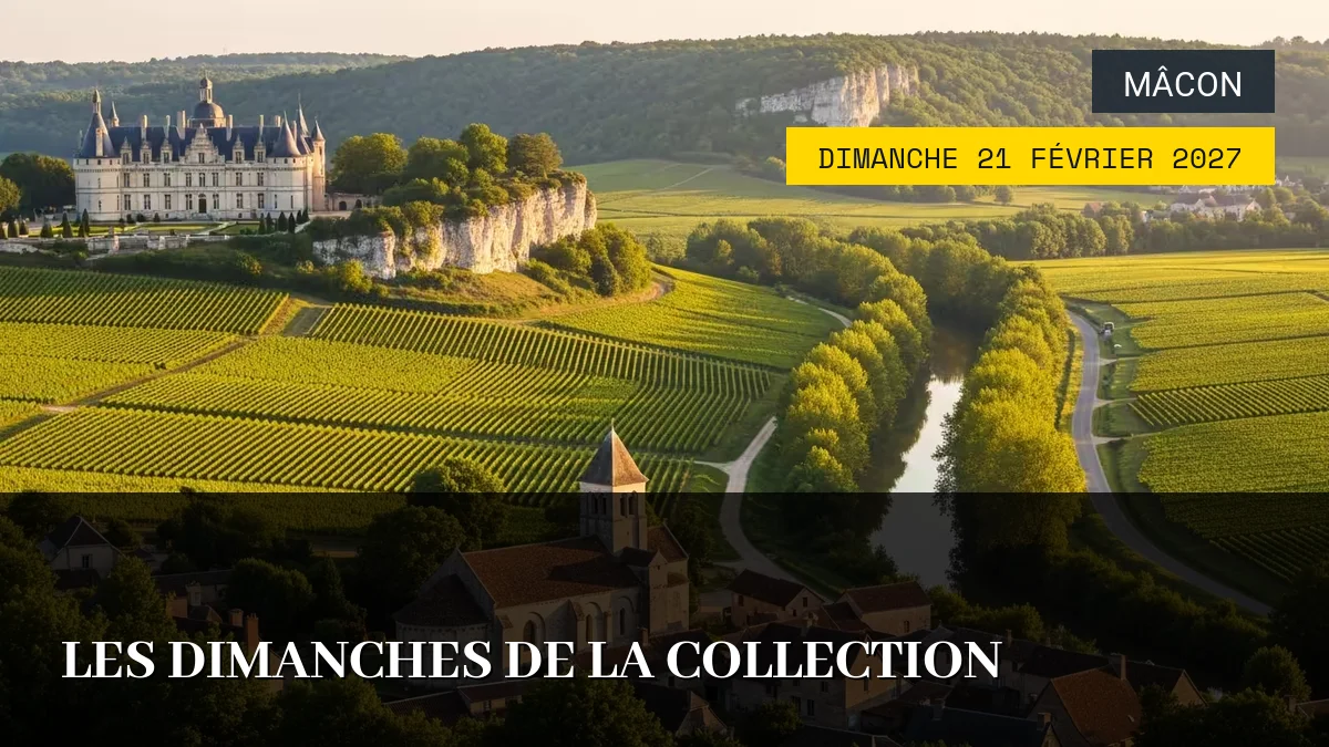Affiche de l'événement : Les Dimanches de la Collection – Dimanche 21 Février 2027