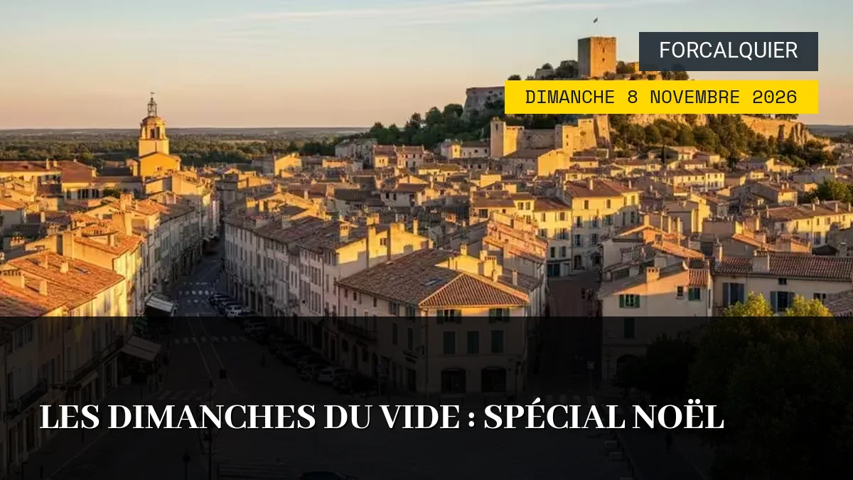 Affiche de l'événement : Les Dimanches du Vide : Spécial Noël – Dimanche 8 Novembre 2026
