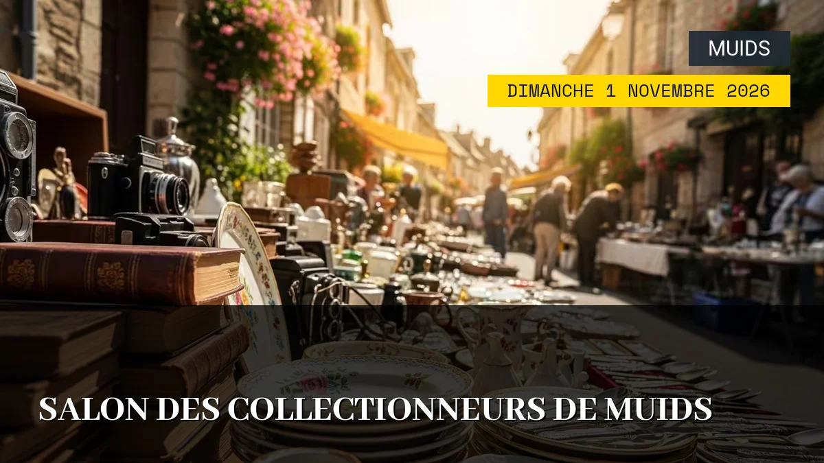 Affiche de l'événement : Salon des Collectionneurs de Muids – Dimanche 1 Novembre 2026