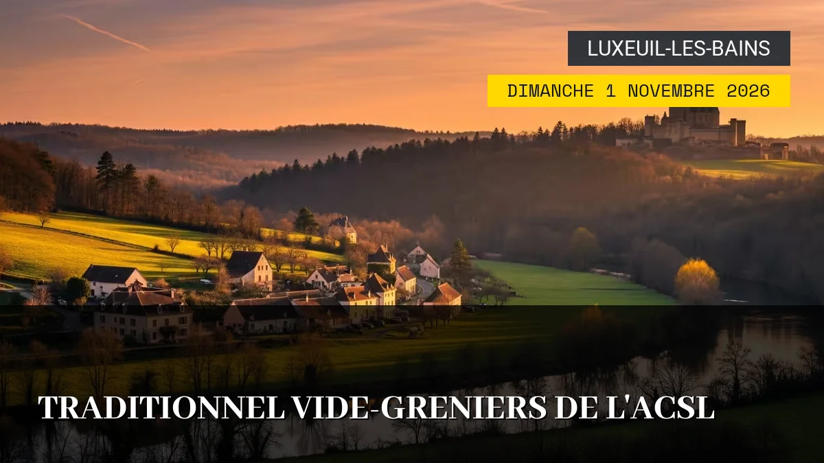 Affiche de l'événement : Traditionnel Vide-Greniers de l&rsquo;ACSL – Dimanche 1 Novembre 2026