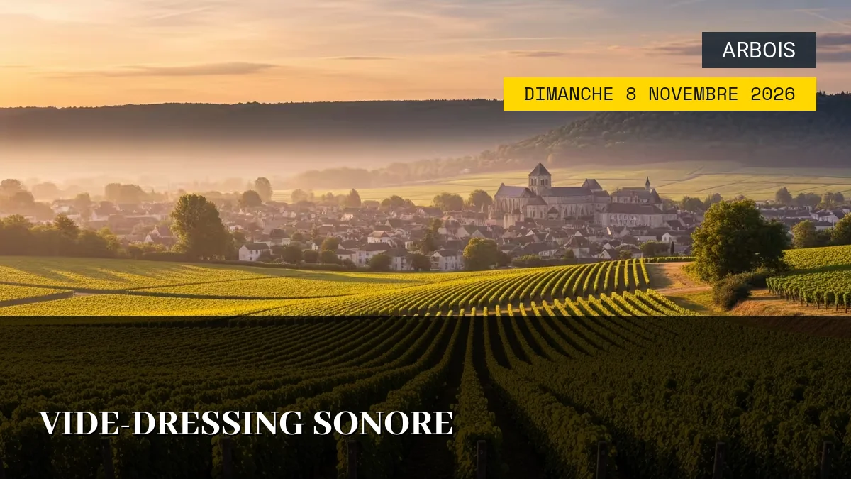 Affiche de l'événement : Vide-Dressing Sonore – Dimanche 8 Novembre 2026