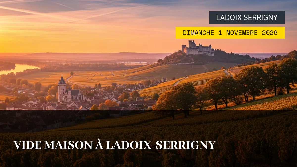 Affiche de l'événement : Vide Maison à Ladoix-Serrigny – Dimanche 1 Novembre 2026