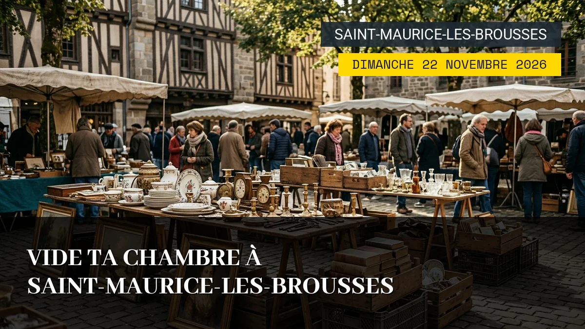 Affiche de l'événement : Vide ta Chambre à Saint-Maurice-les-Brousses – Dimanche 22 Novembre 2026