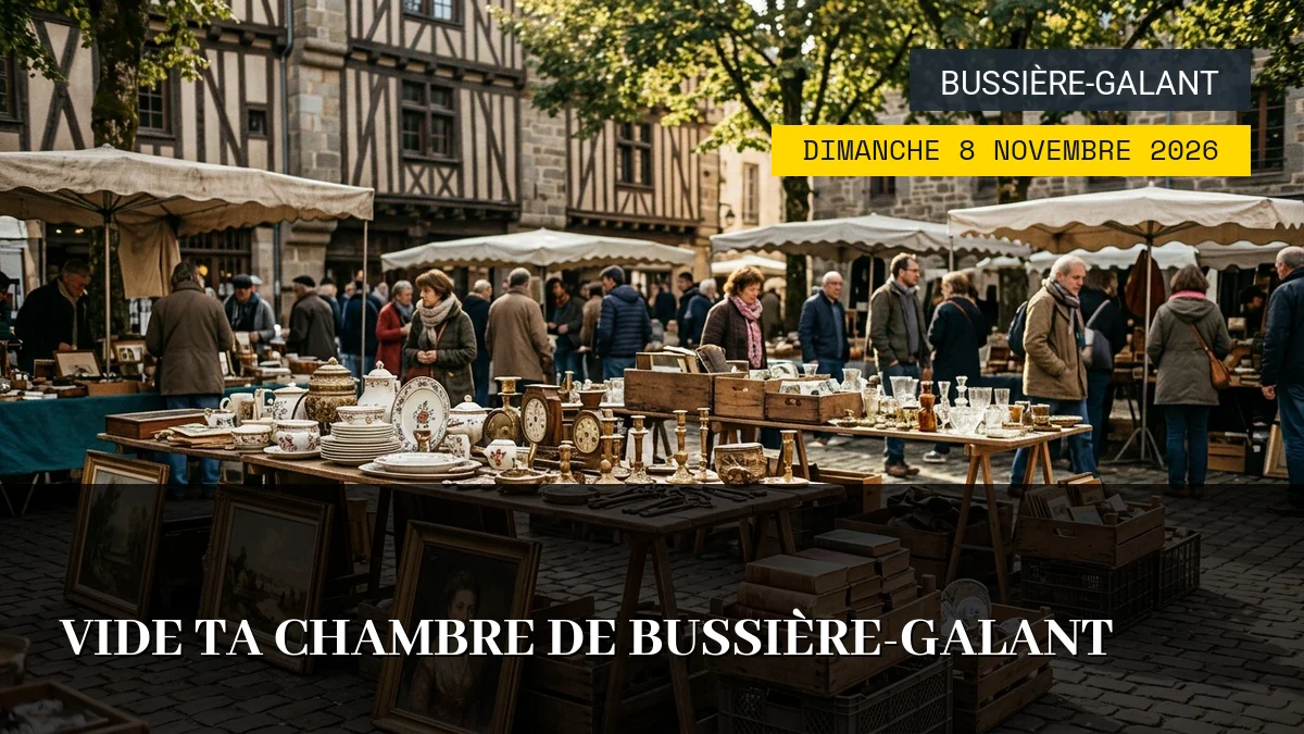 Affiche de l'événement : Vide Ta Chambre de Bussière-Galant – Dimanche 8 Novembre 2026