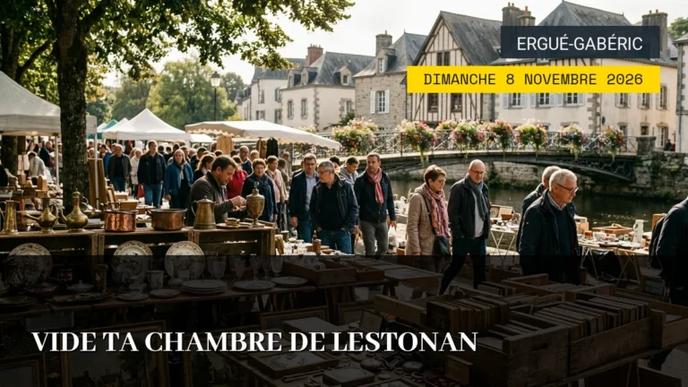 Vide Ta Chambre de Lestonan – Dimanche 8 Novembre 2026
