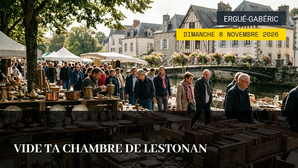 Affiche de l'événement : Vide Ta Chambre de Lestonan – Dimanche 8 Novembre 2026