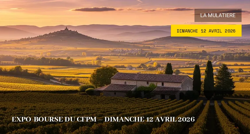 Affiche de l'événement : Expo-bourse du CFPM – Dimanche 12 Avril 2026