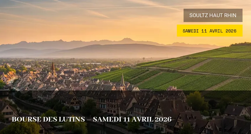 Affiche de l'événement : Bourse des lutins – Samedi 11 Avril 2026