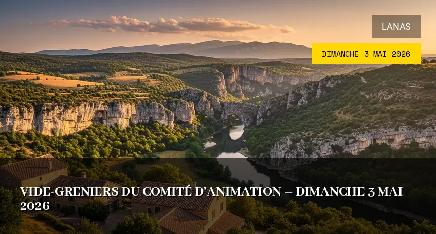 Affiche de l'événement : Vide-greniers du Comité d&rsquo;animation – Dimanche 3 Mai 2026