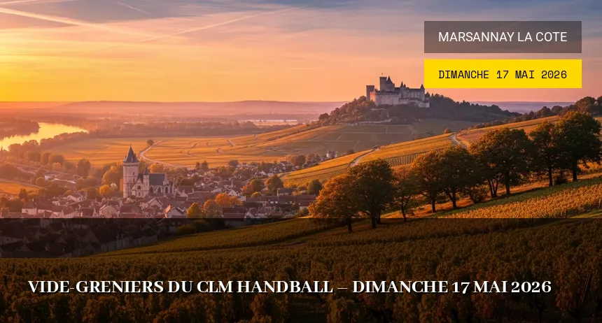 Affiche de l'événement : Vide-greniers du CLM Handball – Dimanche 17 Mai 2026