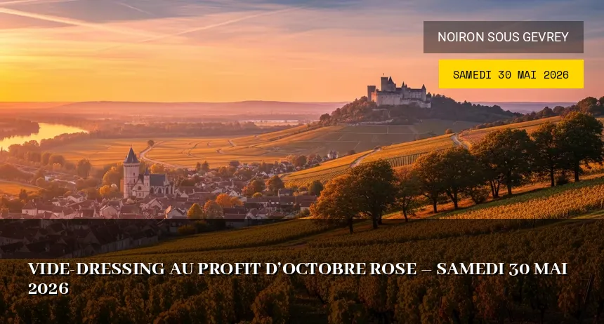 Affiche de l'événement : Vide-dressing au profit d&rsquo;Octobre Rose – Samedi 30 Mai 2026