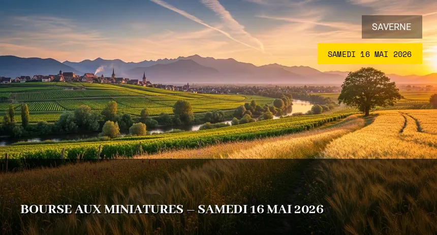 Affiche de l'événement : Bourse aux Miniatures – Samedi 16 Mai 2026