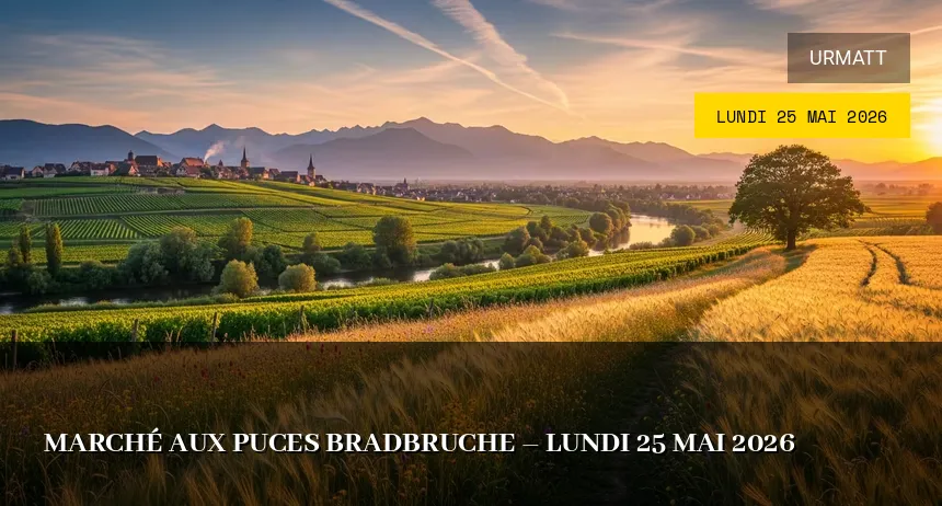 Affiche de l'événement : Marché aux puces Bradbruche – Lundi 25 Mai 2026