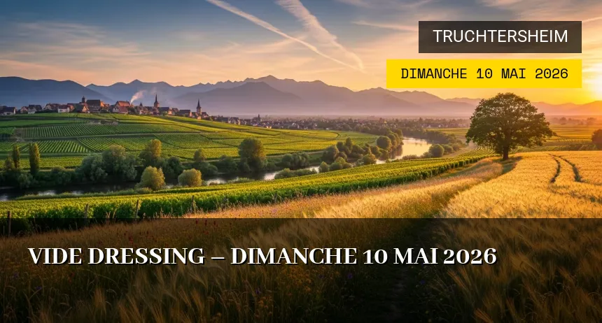 Affiche de l'événement : Vide dressing – Dimanche 10 Mai 2026