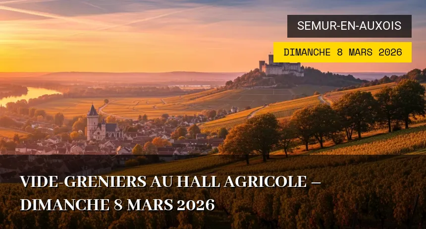 Affiche de l'événement : Vide-Greniers au hall agricole – Dimanche 8 Mars 2026