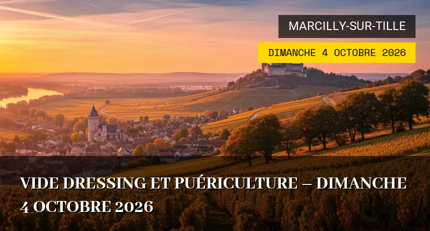 Affiche de l'événement : Vide Dressing et Puériculture – Dimanche 4 Octobre 2026