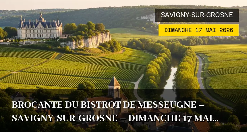 Affiche de l'événement : Brocante du bistrot de Messeugne – Savigny-sur-Grosne – Dimanche 17 Mai 2026