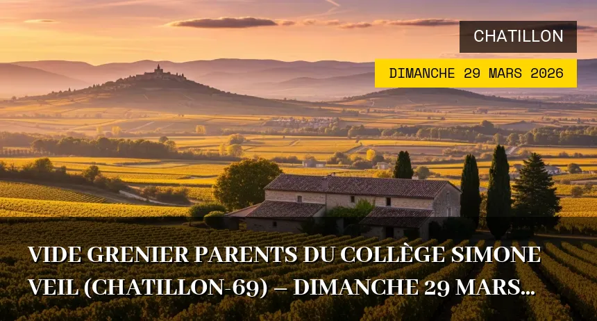 Affiche de l'événement : Vide Grenier Parents du Collège Simone Veil (Chatillon-69) – Dimanche 29 Mars 2026