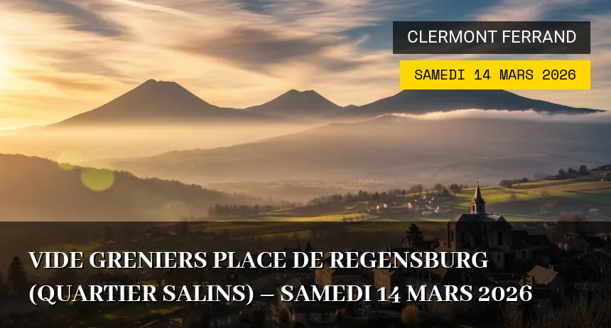 Affiche de l'événement : Vide greniers place de Regensburg (quartier Salins) – Samedi 14 Mars 2026