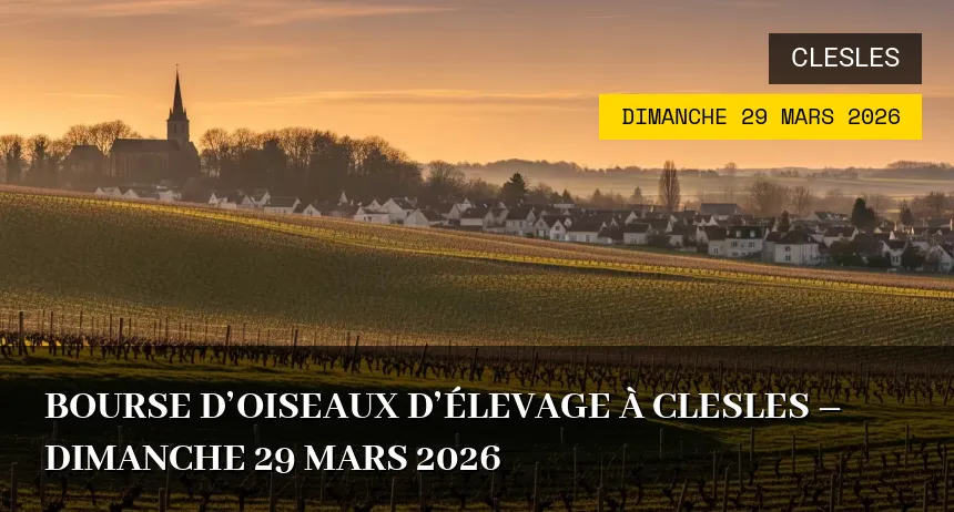 Affiche de l'événement : Bourse d&rsquo;oiseaux d&rsquo;élevage à Clesles – Dimanche 29 Mars 2026