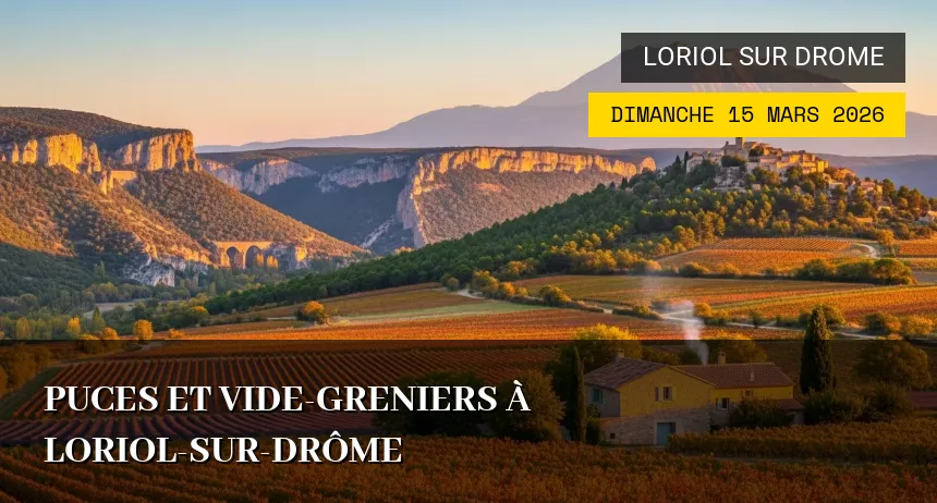 Affiche de l'événement : Puces et Vide-greniers à Loriol-sur-Drôme