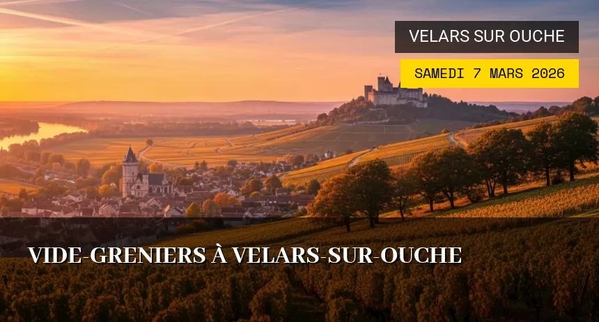 Affiche de l'événement : Vide-greniers à Velars-sur-Ouche