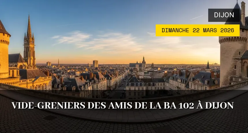 Affiche de l'événement : Vide-greniers des Amis de la BA 102 à Dijon