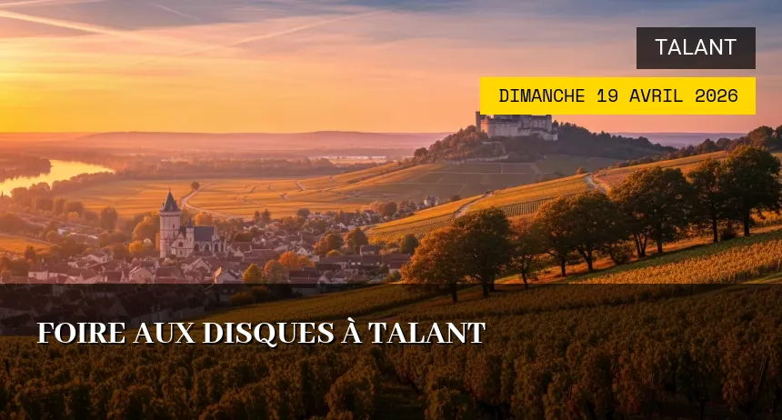 Affiche de l'événement : Foire aux disques à Talant