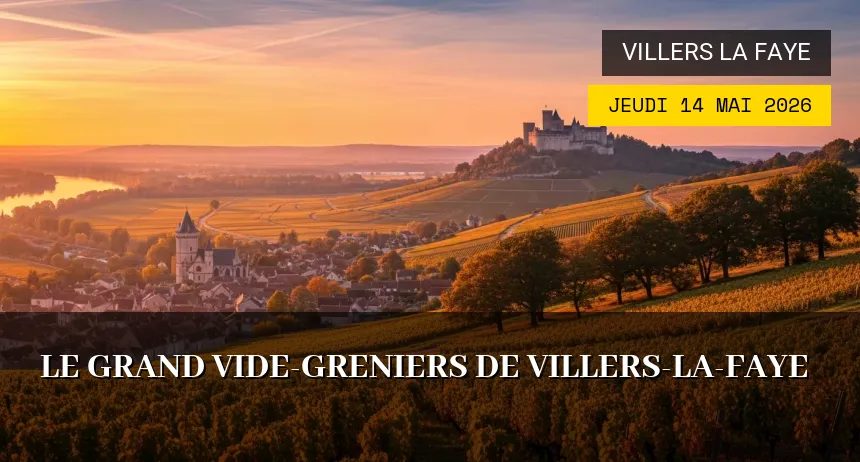 Affiche de l'événement : Le grand vide-greniers de Villers-la-Faye