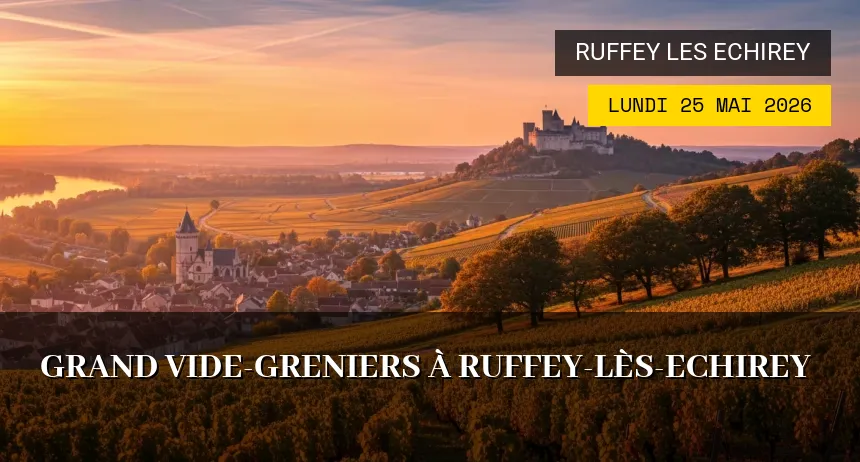 Affiche de l'événement : Grand Vide-greniers à Ruffey-lès-Echirey