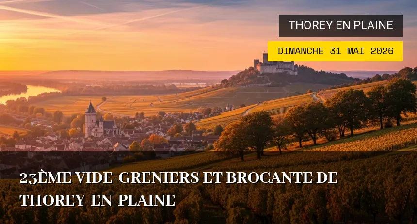 Affiche de l'événement : 23ème Vide-greniers et Brocante de Thorey-en-Plaine