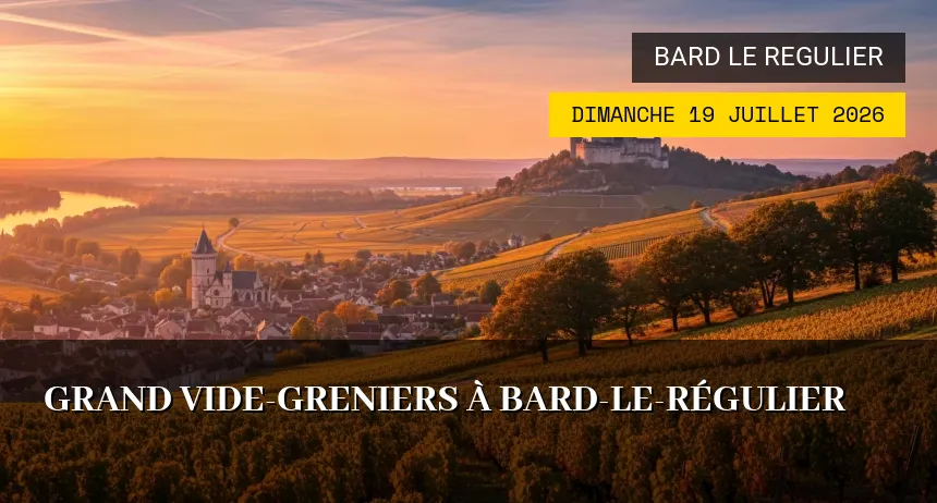 Affiche de l'événement : Grand vide-greniers à Bard-le-Régulier