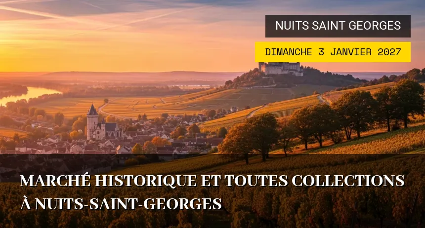 Affiche de l'événement : Marché Historique et Toutes Collections à Nuits-Saint-Georges