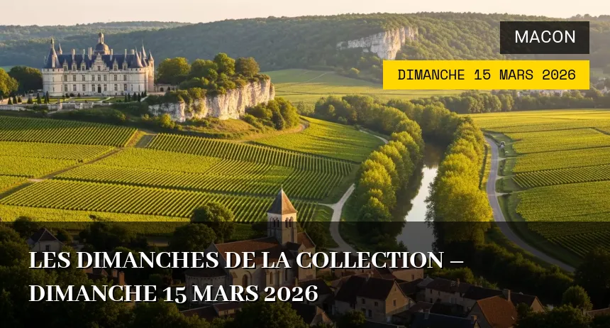 Affiche de l'événement : Les Dimanches de la Collection – Dimanche 15 Mars 2026