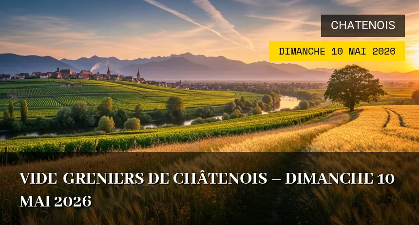 Affiche de l'événement : Vide-greniers de Châtenois – Dimanche 10 Mai 2026