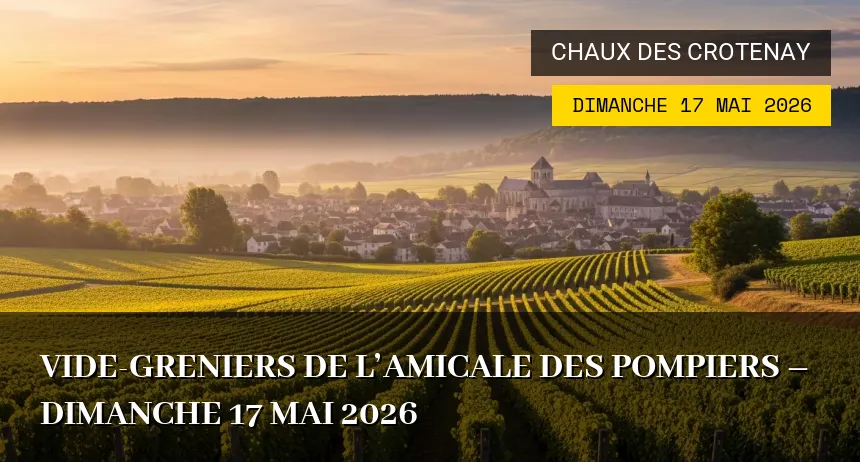 Affiche de l'événement : Vide-greniers de l&rsquo;Amicale des Pompiers – Dimanche 17 Mai 2026