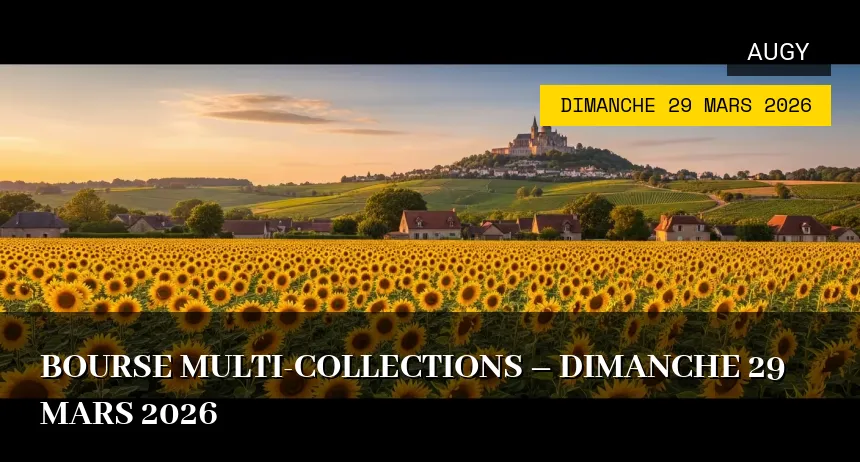 Affiche de l'événement : Bourse Multi-collections – Dimanche 29 Mars 2026